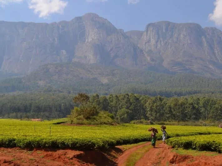 Landschaft bei Nkhoma mit Gebirge im Hintergrund