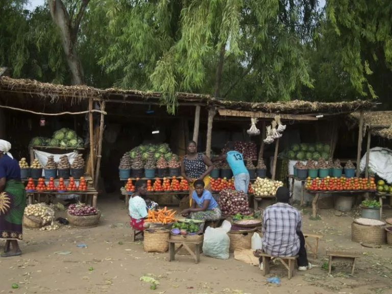 Ein Bild von Markständen eines Dorfes in der Nähe von Nkhoma