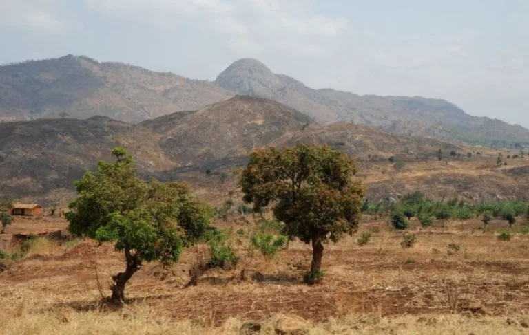 Landschaftsbild aus der Nähe von Nkhoma