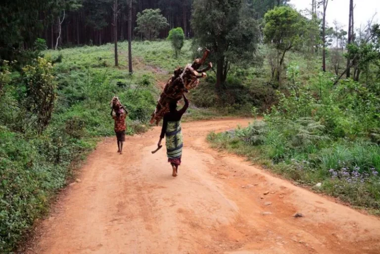 Strasse in der Nähe der Schule von Nkhoma